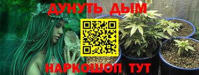 не бодяженный Кингисепп