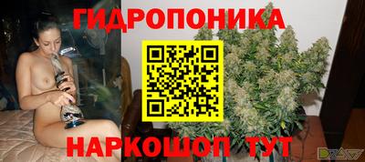 не бодяженный Кингисепп