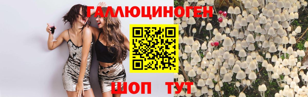 Псилоцибиновые грибы GOLDEN TEACHER Куйбышев