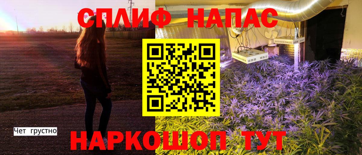 Бошки Шишки план  Каннабис VHQ  Конопля планчик  Куйбышев  Канабис индика  Вход с VPN 